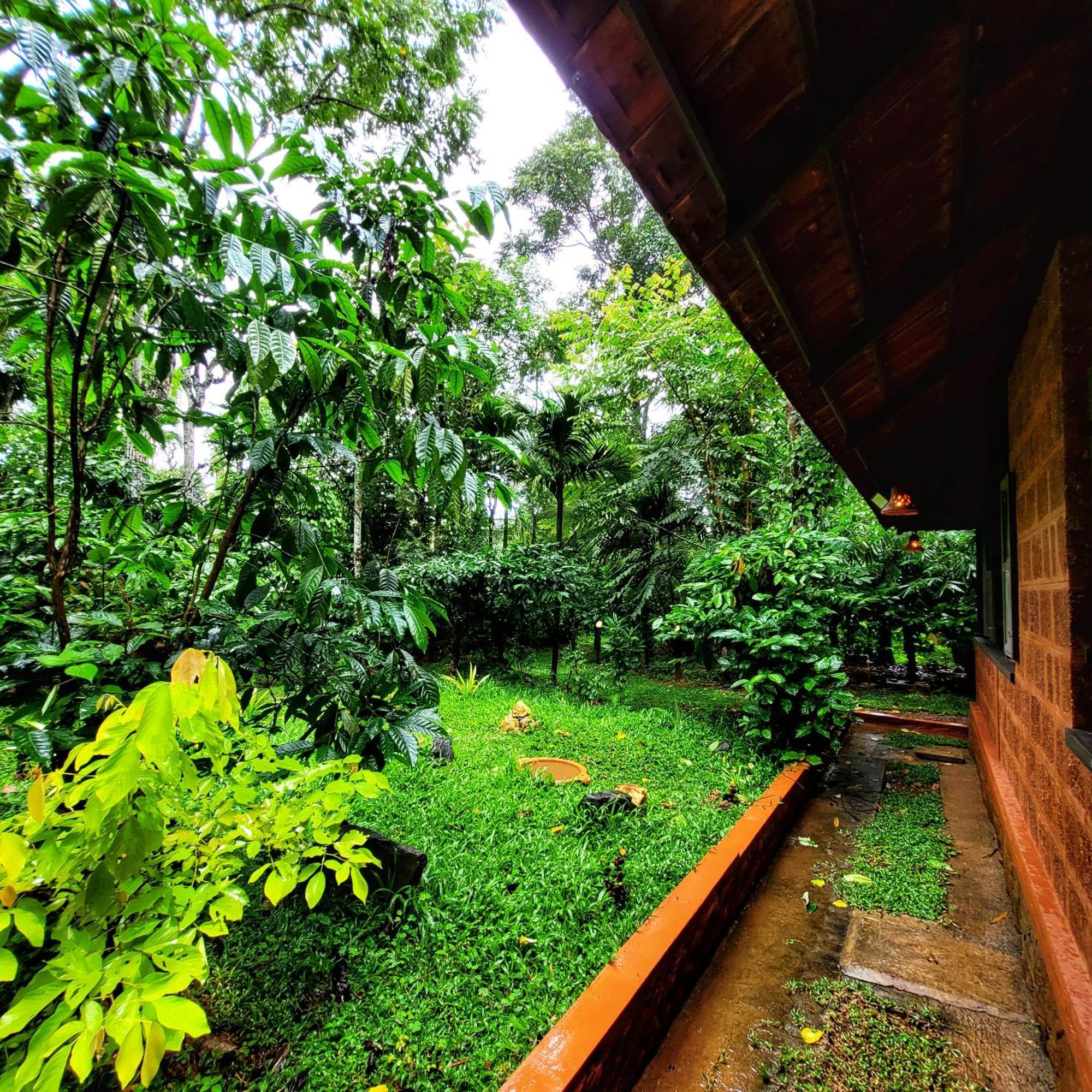 Greens Tree House & Wood House Султан-Батері Екстер'єр фото