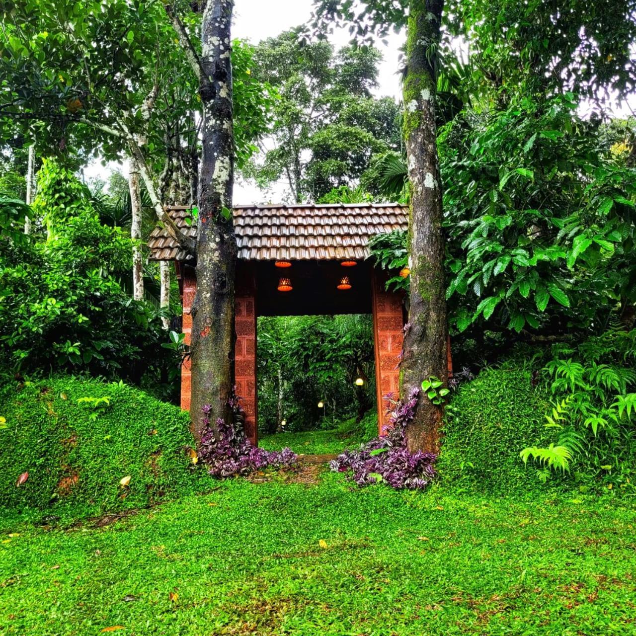 Greens Tree House & Wood House Султан-Батері Екстер'єр фото