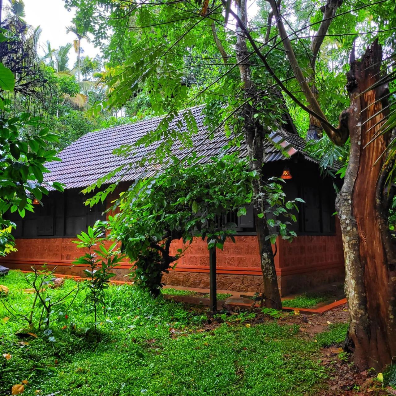 Greens Tree House & Wood House Султан-Батері Екстер'єр фото