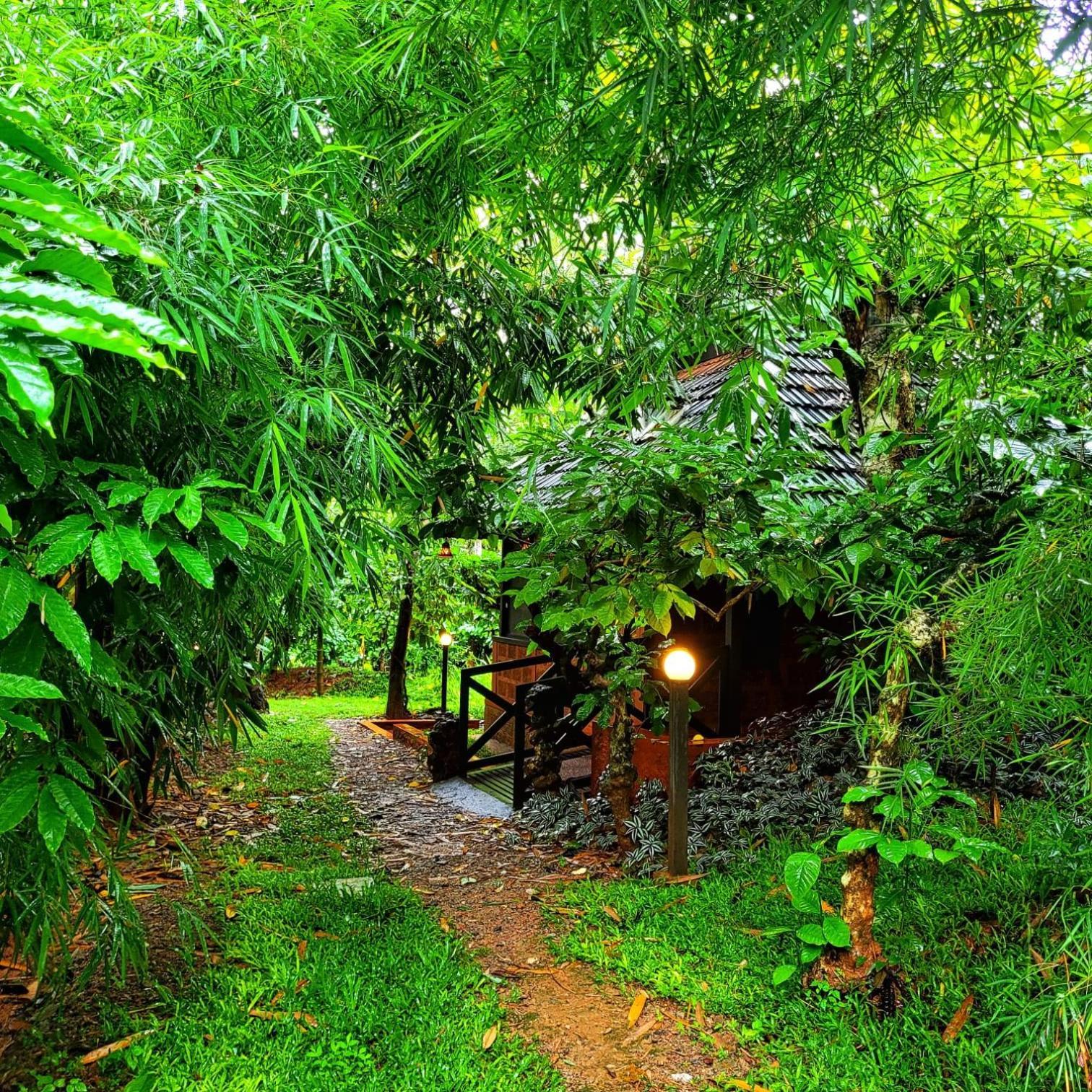Greens Tree House & Wood House Султан-Батері Екстер'єр фото